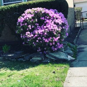 Meet your Posher, Yanina